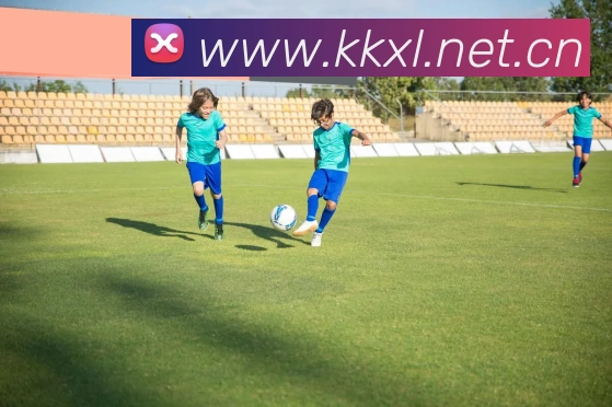 华体app登录入口平台生态图